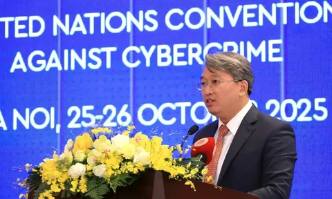 Khẳng định quyết tâm của Việt Nam trong bảo đảm an ninh, an toàn và quyền con người trong kỷ nguyên số