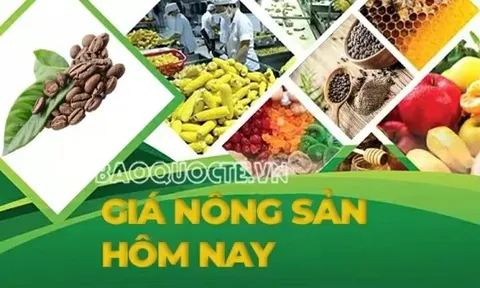 Giá nông sản hôm nay 30/10/2025: Giá cà phê robusta bật tăng mạnh, Hồ tiêu Việt giữ vai trò điều tiết; Khả năng Mỹ-Trung ký thỏa thuận thương mại