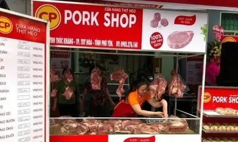 Giá heo hơi hôm nay 31/10: Miền Bắc giảm nhẹ, miền Trung và Nam ổn định