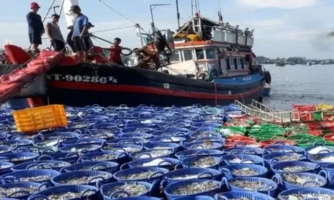 Gỡ 'thẻ vàng' tìm lại lợi thế