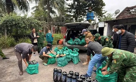 Triệt phá đường dây buôn bán, vận chuyển khí cười quy mô lớn tại Quảng Ninh