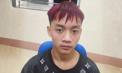 Thiếu niên 15 tuổi bị bắt vì có hành vi đồi bại