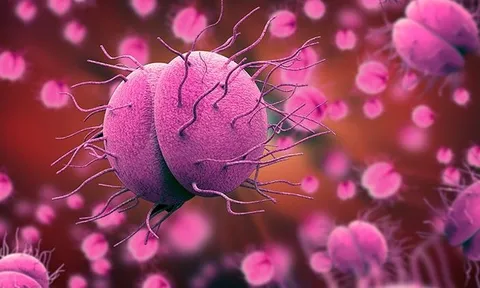 Hà Nội ghi nhận ca mắc não mô cầu là nam thanh niên 24 tuổi 0