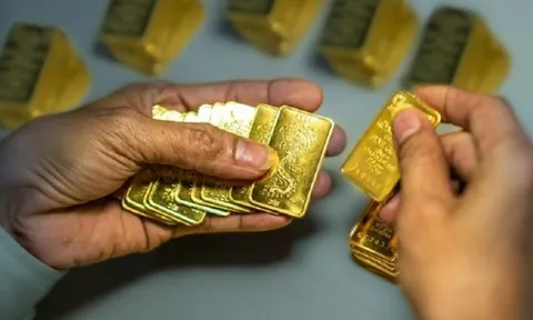 Công khai Kết luận thanh tra PNJ Tiền Giang, Vàng bạc Ngọc Thẩm, Vàng bạc Ngọc Hải