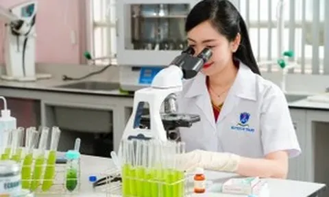 Nhiều chính sách đột phá đào tạo nhân lực chất lượng cao theo chuẩn quốc tế