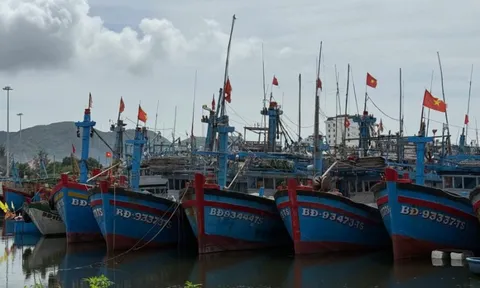 Đắk Lắk, Gia Lai lập Sở chỉ huy tiền phương ứng phó bão số 13