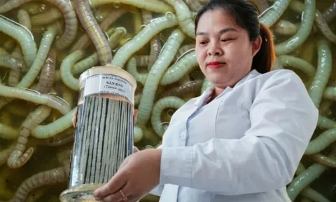 Bên trong bảo tàng lưu giữ những 'kẻ ký sinh' nguy hiểm nhất với con người 0