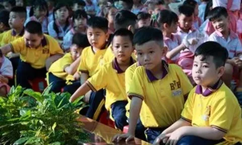 Nhiều trường ở TPHCM cho học sinh về sớm, hoãn ngoại khoá để tránh bão Kalmaegi