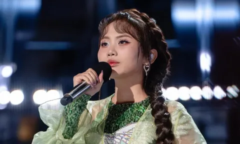 Số tiền 242 tỷ đồng mà Phương Mỹ Chi 'bỏ túi' gây dậy sóng