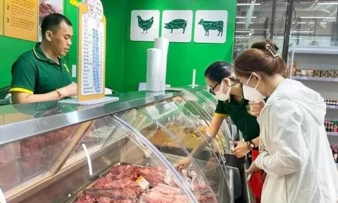 Giá heo hơi hôm nay 8/11: Miền Bắc tiếp đà giảm; miền Trung - Tây Nguyên, miền Nam đi ngang