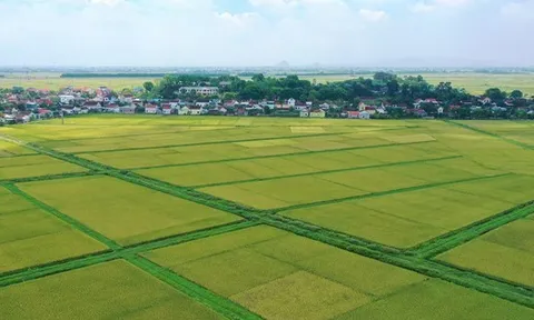 Đối tượng nào được miễn thuế sử dụng đất nông nghiệp đến hết năm 2030?