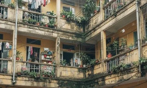 Có nên mua căn hộ tập thể ở trung tâm Hà Nội, gần 50 năm tuổi, diện tích sổ 40m², giá gần 6 tỷ đồng?