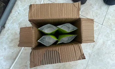 Cất giấu 20kg bạc dưới đế giày vận chuyển qua biên giới, nhóm đối tượng bị khởi tố