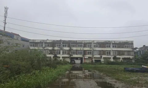 Hà Nội: Khu chợ 'đắp chiếu' 11 năm được đề xuất chuyển đổi thành nhà ở xã hội