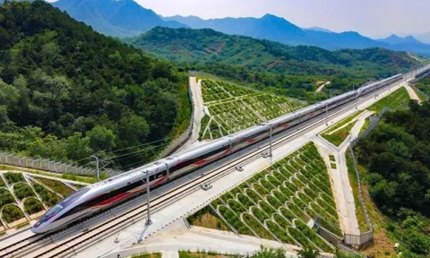 Hiện đại hóa đường sắt: Vì sao Việt Nam không tìm công nghệ đắt nhất?