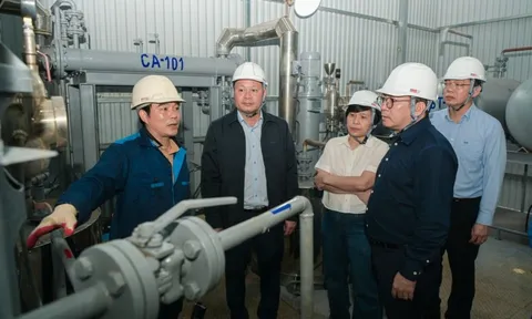 BSR đẩy nhanh tiến độ nghiên cứu nhiên liệu dầu diesel sinh học