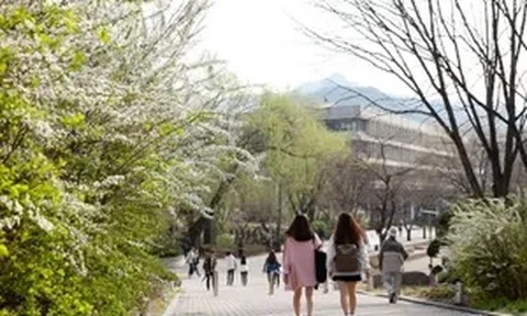 Hàn Quốc không tuyển sinh viên có 'vết đen' bắt nạt