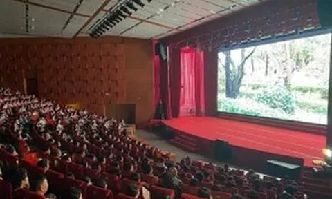 Hé lộ Ban giám khảo Liên hoan Phim Việt Nam lần thứ 24