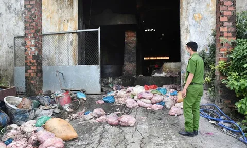 Phát hiện cơ sở chế biến mỡ động vật trái phép quy mô lớn trong nghĩa trang