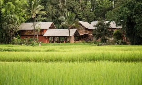 Bán chung cư 6,5 tỷ giữa Hà Nội để về miền Trung “sống chậm”, một năm sau, đôi vợ chồng trẻ nhận ra: Bình yên chưa thấy, hối hận đã tràn ngập