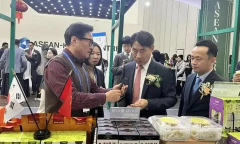 Việt Nam đang khẳng định vai trò dẫn dắt trong quan hệ thương mại và đầu tư ASEAN-Hàn Quốc