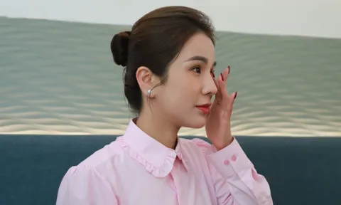 Diệp Lâm Anh nên dừng lại