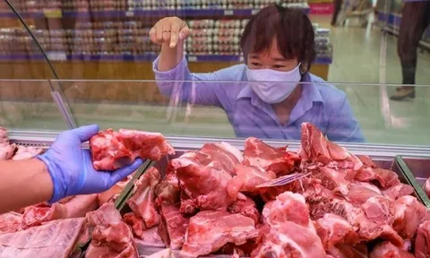 Giá heo hơi hôm nay 19/11: Tăng trên cả 3 miền