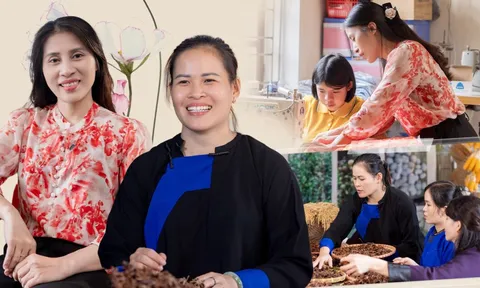 Khởi đầu mới - Điểm tựa cho phụ nữ Việt làm "điều phi thường"