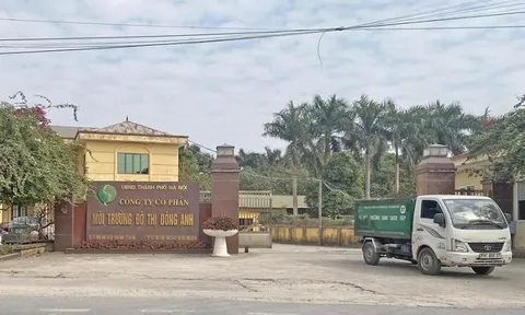 Trưởng ban kiểm soát qua đời 4 tháng, công ty mới biết tin