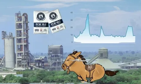 Doanh nghiệp xi măng gần 50 năm tuổi bị huỷ tư cách công ty đại chúng, rời sàn chứng khoán sau 17 năm