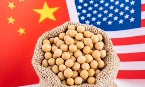 Hai tháng liên tiếp Trung Quốc không nhập khẩu đậu tương Mỹ, đối tác Nam Mỹ nào thay thế?