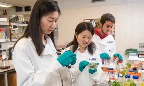 Trung Quốc mở rộng đào tạo tiến sĩ