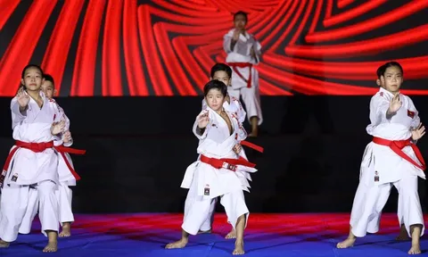 Liên hoan võ thuật quốc tế tại TP.HCM khép lại với nhiều dấu ấn