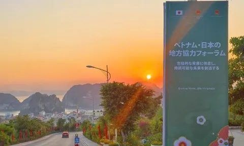 Trưởng đại diện JETRO Hà Nội: Việt Nam là điểm đến đầu tư hàng đầu ASEAN