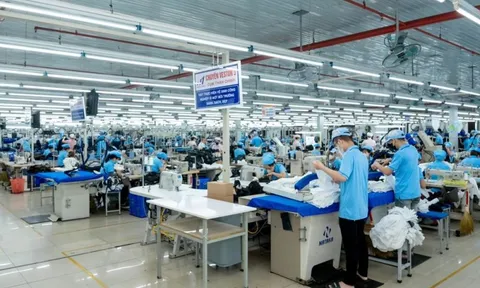 Công ty Dệt may trả cổ tức 25% bằng tiền mặt