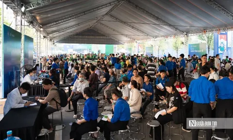 8.000 người dân được khám sức khoẻ miễn phí