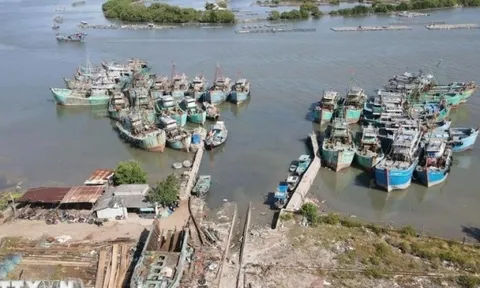 Giải pháp đồng bộ của TP. Hồ Chí Minh nhằm ngăn vi phạm IUU, bảo vệ sinh kế ngư dân