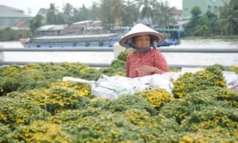 Nghề trồng hoa kiểng Sa Đéc trở thành Di sản văn hóa phi vật thể quốc gia