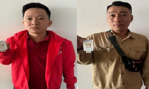 Bắt 2 đảo chủ "Đảo Đào Hoa" môi giới mại dâm quy mô lớn