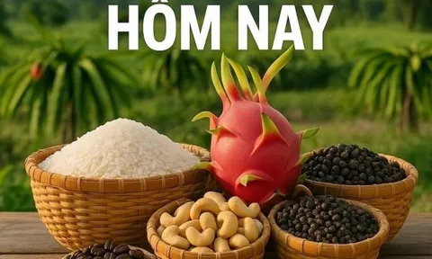 Giá nông sản hôm nay 27/12/2025: Giá cà phê vẫn tích cực, cung-cầu đang thực nghiêng bên nào? Cập nhật thông tin gần 500 container chè 'mắc kẹt'