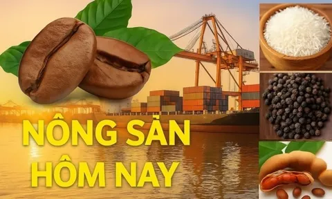 Giá nông sản hôm nay 30/12/2025: Giá cà phê duy trì đà tăng, Giá tiêu ổn định; Cảnh báo tin fake về Hội chợ quốc gia Mùa Xuân 2026
