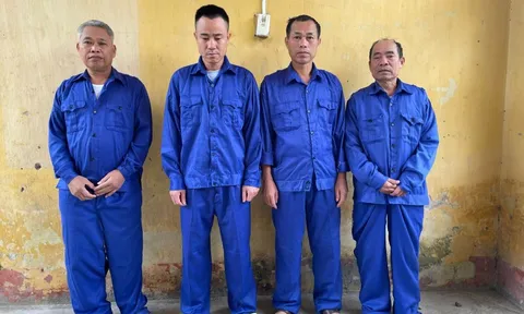 Khởi tố 5 đối tượng trốn thuế gần 19 tỷ đồng