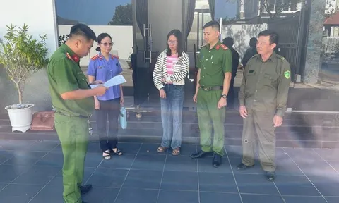 Tham ô hàng tỷ đồng, nữ nhân viên bị khởi tố