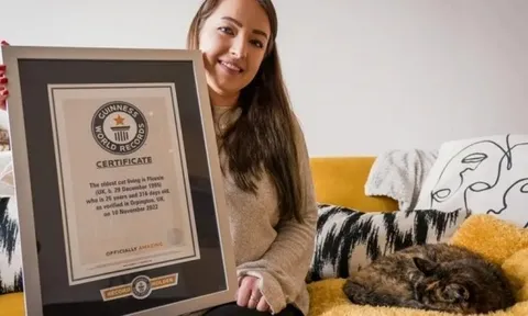 Anh: Chú mèo già nhất thế giới tròn 30 tuổi