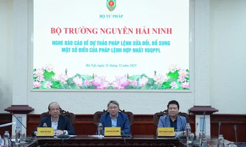 Mọi hoạt động áp dụng pháp luật đều căn cứ vào văn bản hợp nhất