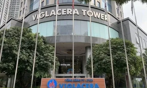 Viglacera lên kế hoạch 2026: doanh thu đi ngang, lợi nhuận tăng nhẹ 4,4%