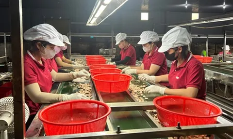 Tăng sức cạnh tranh cho doanh nghiệp Việt