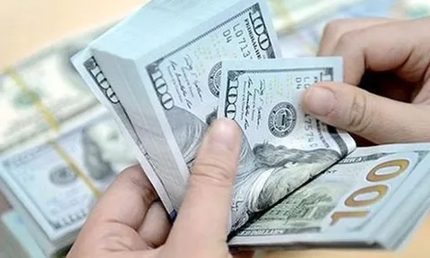 Có phải người giàu thường vay nhiều?