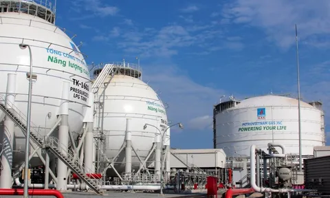 PV Gas (GAS) báo tin khẩn giữa lúc cổ phiếu tăng trần: Chưa đáp ứng điều kiện công ty đại chúng, 17.494 cổ đông chỉ nắm giữ 4,24% cổ phần