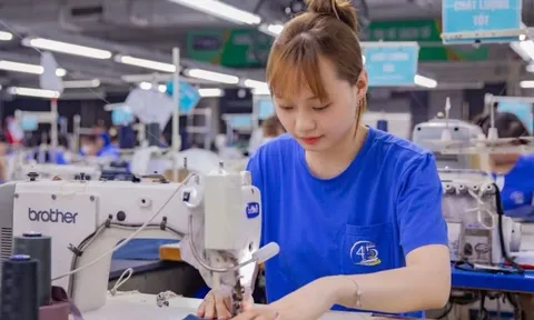 TNG lập kỷ lục mới về doanh thu, doanh nghiệp dệt may đón 2026 với triển vọng tích cực